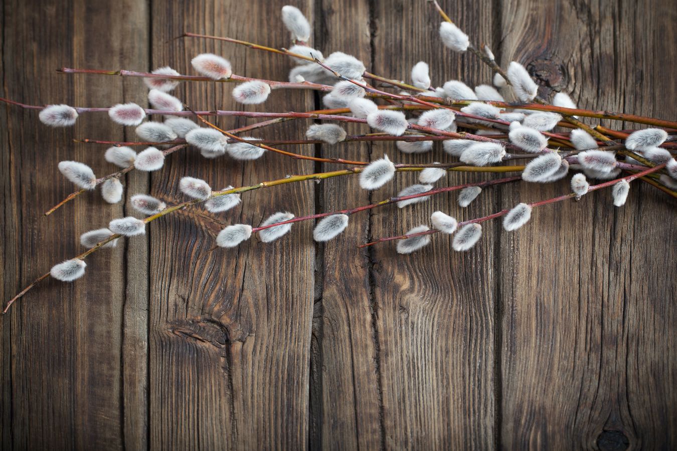 Jak przechowywać bazie? Wiele osób popełnia ten błąd