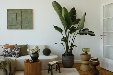 Sofy i siedziska, które pokocha każde pokolenie – przewodnik vidaXL