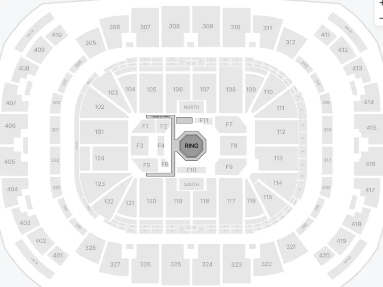 Ceny biletów na UFC 327 na walkę Prochazka vs. Ulberg ujawnił Daniel Yanofsky