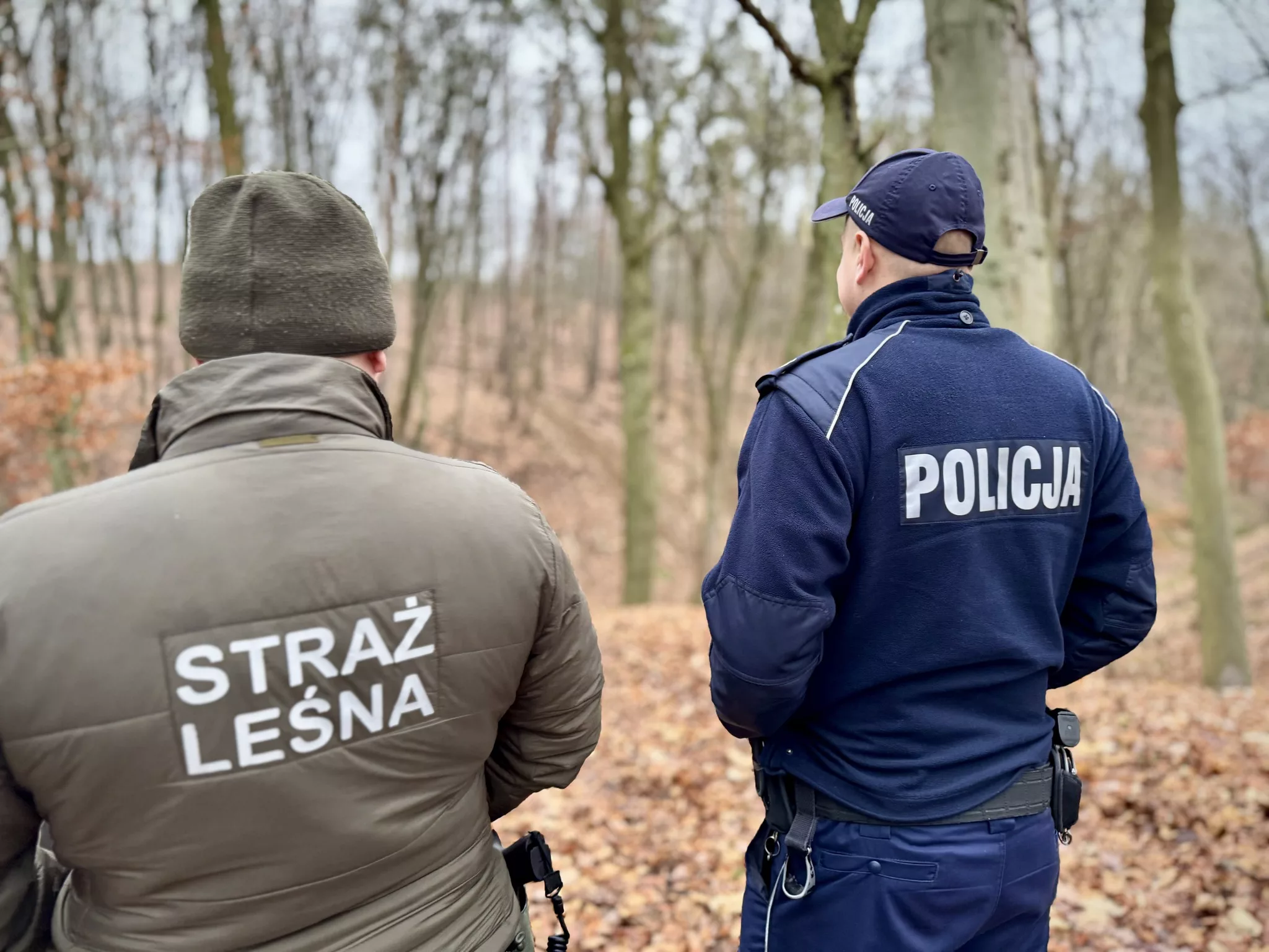 „Choinka 2025”. Wspólne patrole służb w lasach i nad wodą