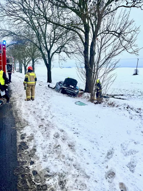 Choszczno. Czworonożny uczestnik zdarzenia pod opieką policjantów