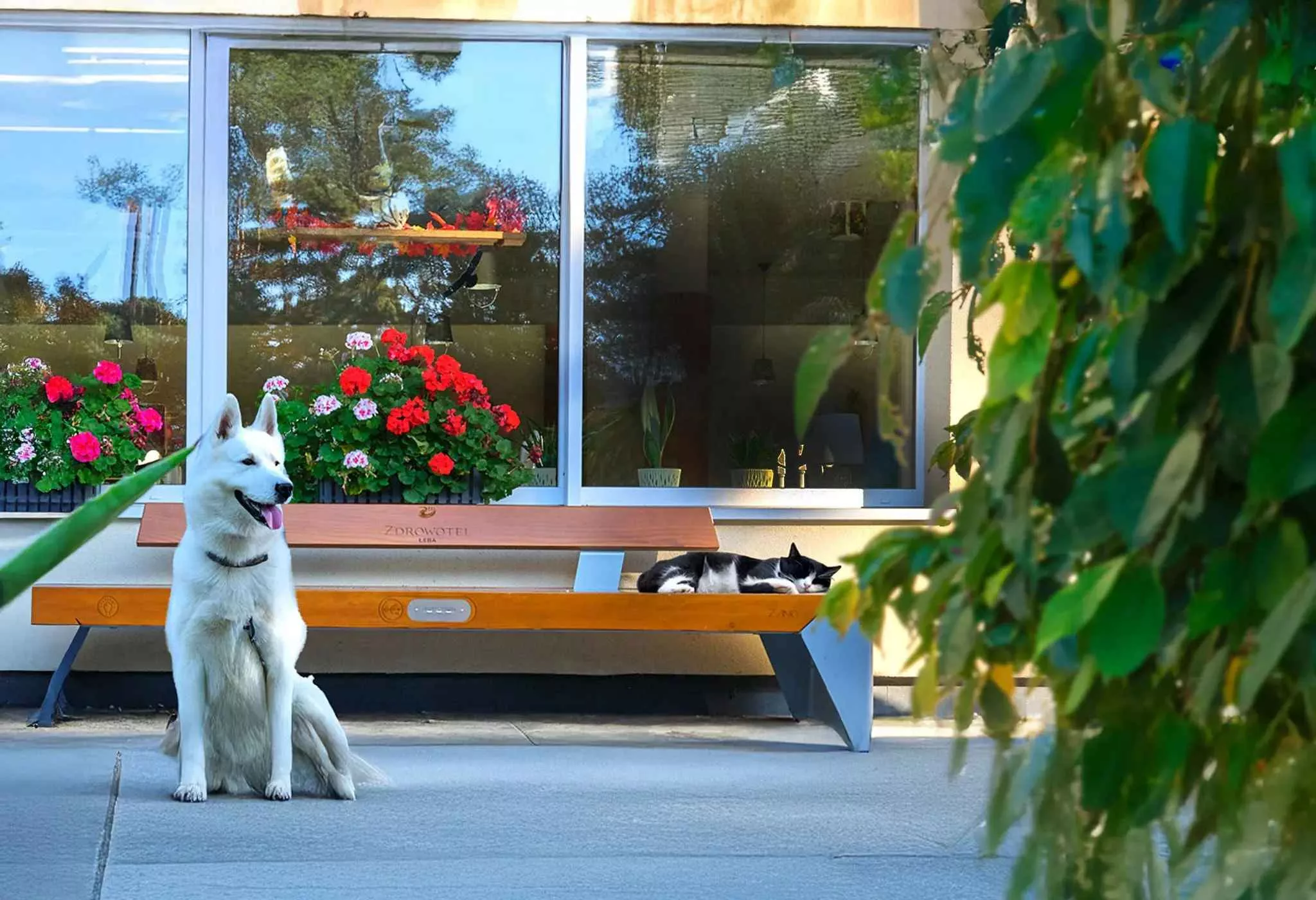 Zamiast kolejnego gadżetu – podaruj bliskim sprawność turnus rehabilitacyjny