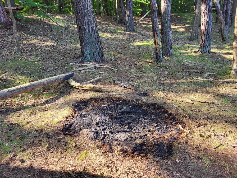 ALARM W WOLIŃSKIM PARKU NARODOWYM. Wystarczy jedna iskra, aby doszło do katastrofy