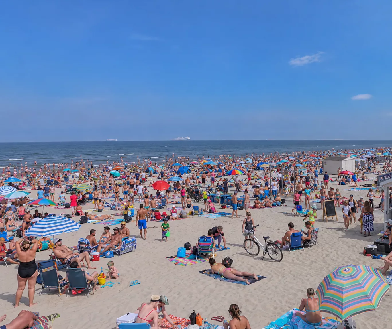 Sinice nad Bałtykiem. Czy zepsują wakacyjny weekend? Sprawdzamy sytuację na wybrzeżu
