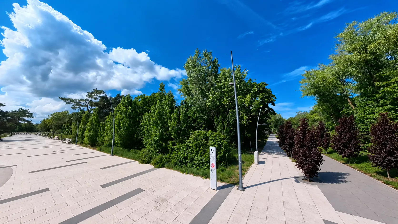 Joanna Agatowska – „Zazielenimy promenadę miejską”. Tak wygląda realizacja obietnicy w praktyce?