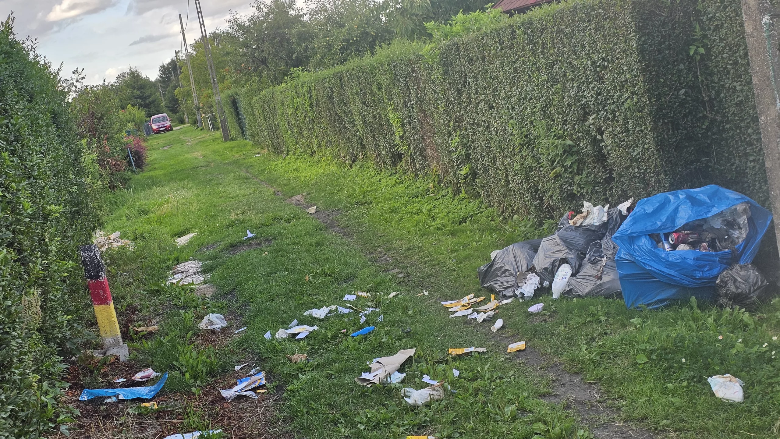 TOTALNA BEZMYŚLNOŚĆ NA OGRODACH DZIAŁKOWYCH. KTOŚ ZROBIŁ SOBIE WYSYPISKO NA ALEJCE