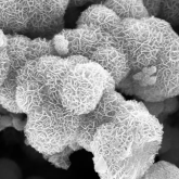 Technologia papierowych akumulatorów Flint w trackerach Nimble. Biodegradowalne ogniwa z ładowaniem bezprzewodowym