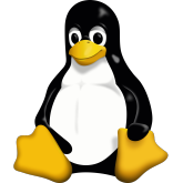 NVIDIA Reflex i AMD Anti-Lag 2 dostępne na dowolnym GPU w systemach Linux za sprawą projektu open source