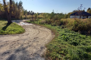 Spacerkiem po Radzyniu - ul. Czesława Toczyńskiego