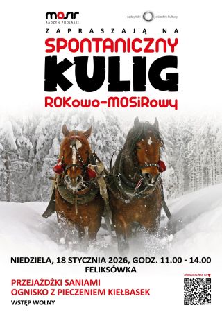 Spontaniczny Kulig ROK-owo-MOSiR-owy w Feliksówce