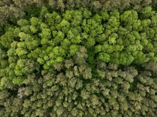 Ruszyły prace przygotowawcze pod budowę drogi ekspresowej S19