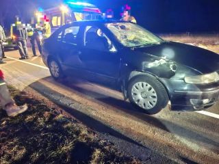 Kolizja samochodu osobowego z łosiem