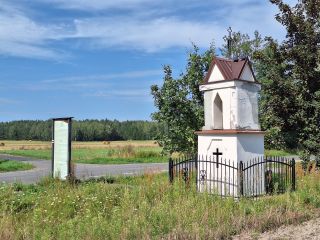 Strażniczka wsi, która przetrwała zarazę i czas