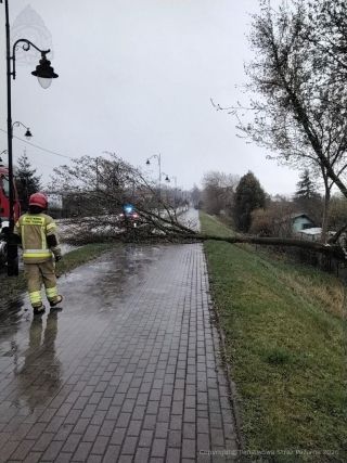 Wichura nad powiatem radzyńskim. Strażacy interweniowali blisko 50 razy w jeden dzień