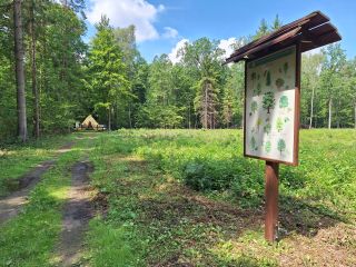 Ścieżka przyrodniczo-historyczna „Brzozowica”