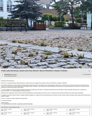 Burmistrz milczy, a Plac Wolności zarasta chwastami