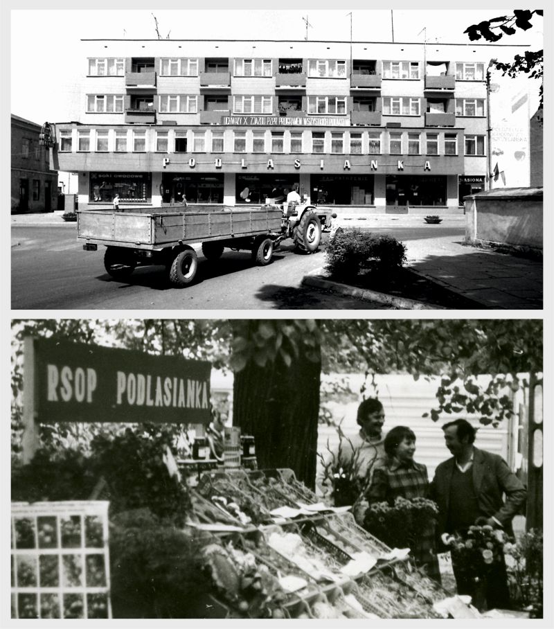 „Słownik Dawnego Radzynia” (cz. 72) - PODLASIANKA