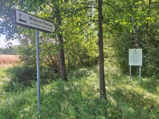 Od stolarza do oprawcy. Ostatnia droga Adolfa Dykowa