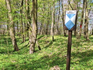 Grodzisko, które miało być ostatnią przystanią