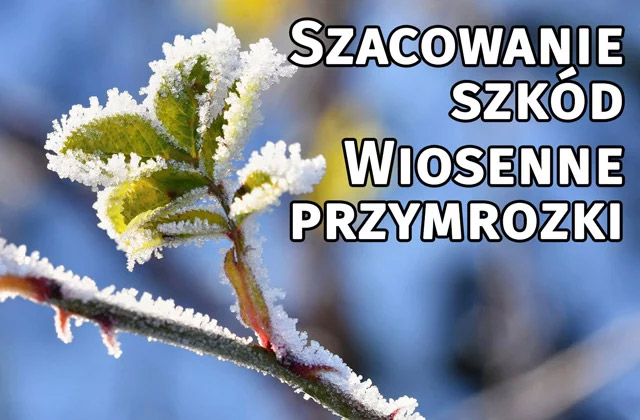 PRZYJMOWANIE WNIOSKÓW O SZACOWANIE STRAT W UPRAWACH SPOWODOWANYCH PRZYMROZKAMI WIOSENNYMI.